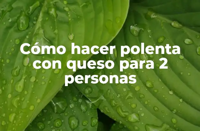 Cómo Hacer Polenta con Queso para 2 Personas