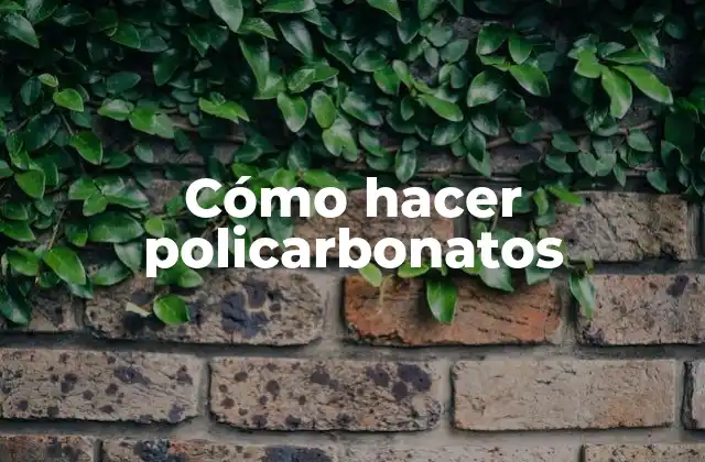 Cómo Hacer Policarbonatos