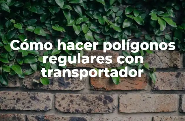 Cómo Hacer Polígonos Regulares con Transportador