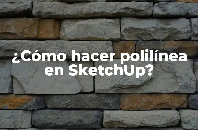 ¿cómo Hacer Polilínea en Sketchup?