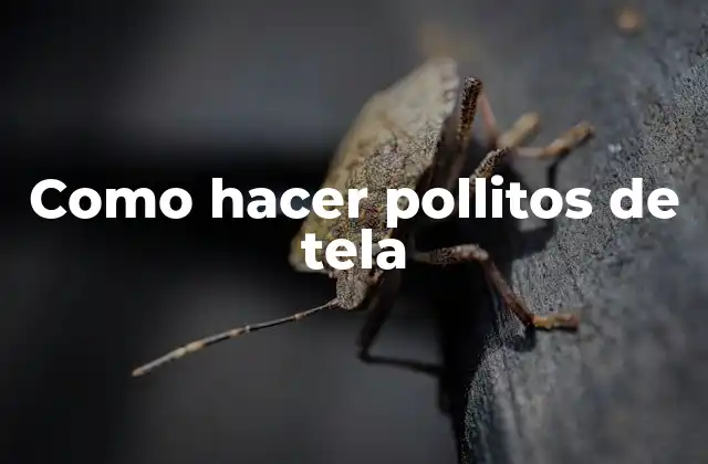 Como Hacer Pollitos de Tela 2 ¿Qué son los pollitos de tela?