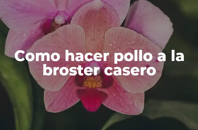 Como Hacer Pollo a la Broster Casero