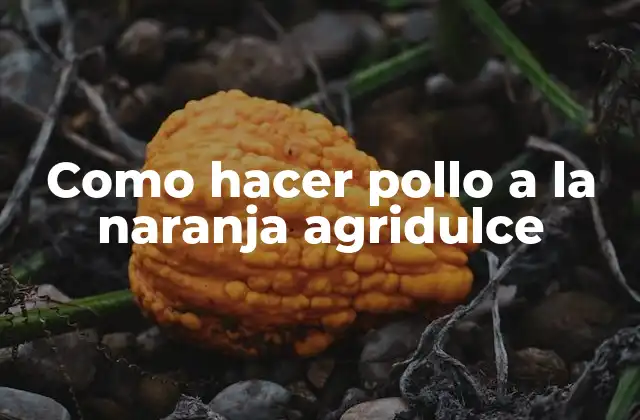 Como Hacer Pollo a la Naranja Agridulce