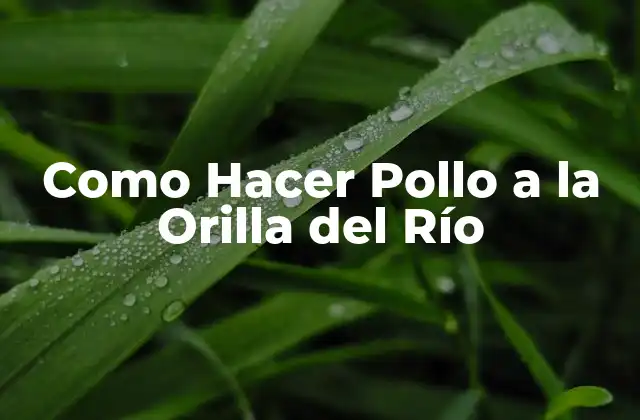 Como Hacer Pollo a la Orilla Del Río