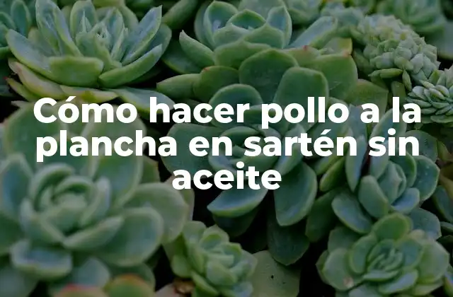 Cómo hacer pollo a la plancha en sartén sin aceite