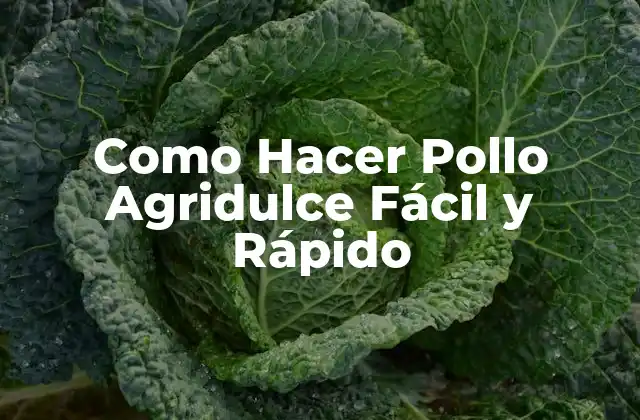 Como Hacer Pollo Agridulce Fácil y Rápido