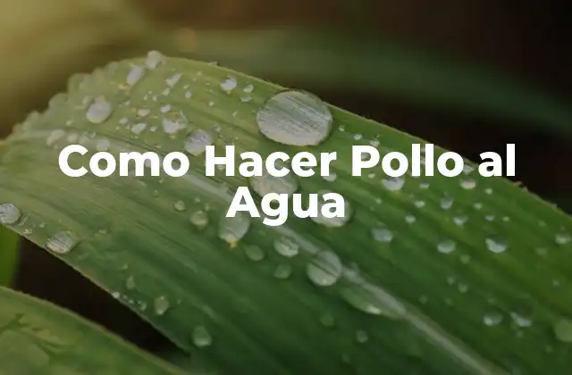 Como Hacer Pollo Al Agua