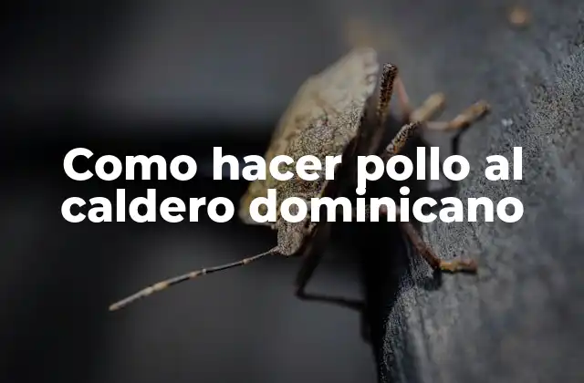 Como Hacer Pollo Al Caldero Dominicano