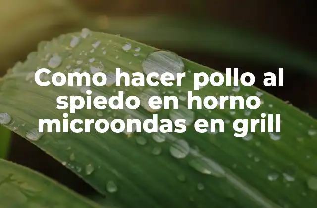 Como Hacer Pollo Al Spiedo en Horno Microondas en Grill