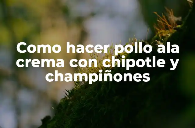 Como Hacer Pollo Ala Crema con Chipotle y Champiñones 2 ¿Qué es el pollo ala crema con chipotle y champiñones?