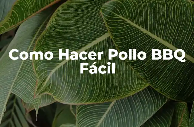 ¿Qué es el Pollo BBQ Fácil?
