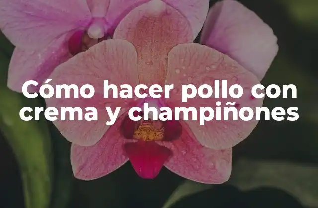 Cómo Hacer Pollo con Crema y Champiñones