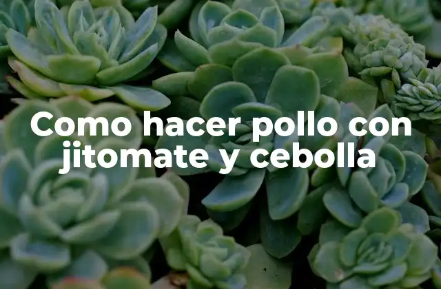 Como Hacer Pollo con Jitomate y Cebolla