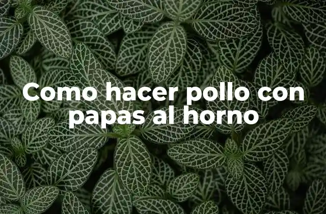 Como Hacer Pollo con Papas Al Horno
