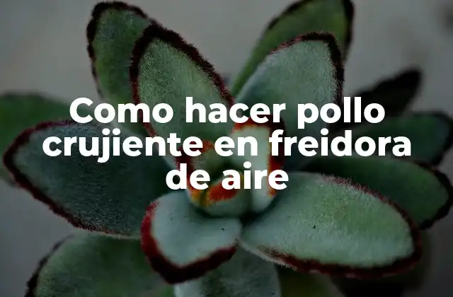 ¿Qué es pollo crujiente en freidora de aire y para qué sirve?