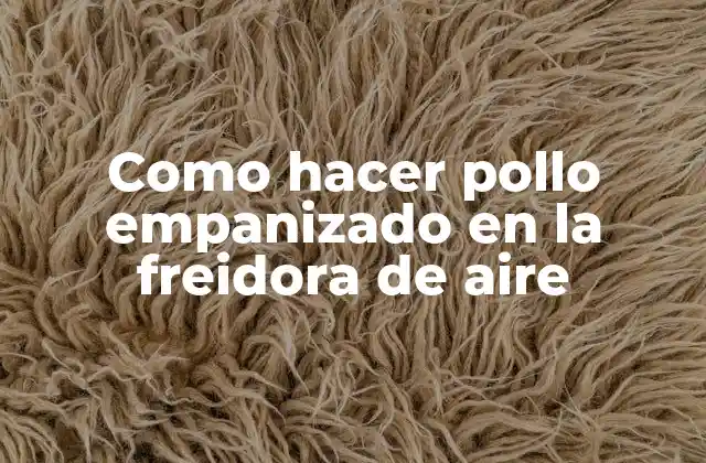Como Hacer Pollo Empanizado en la Freidora de Aire 2 ¿Qué es el pollo empanizado en la freidora de aire?
