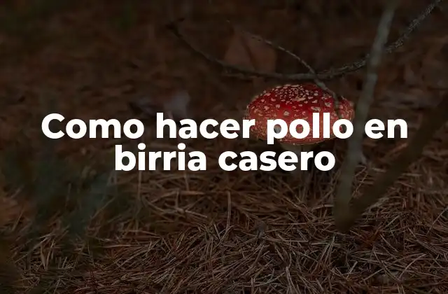 Como Hacer Pollo en Birria Casero