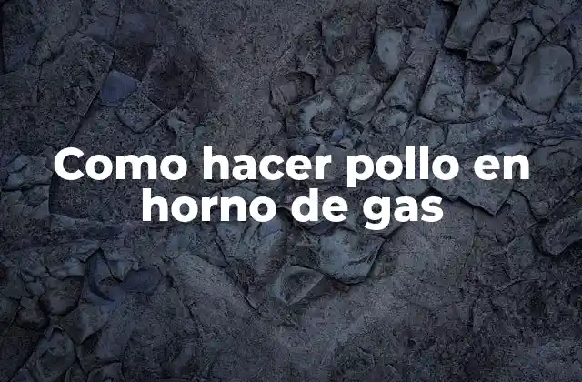 Como Hacer Pollo en Horno de Gas
