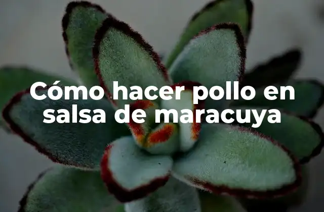Cómo Hacer Pollo en Salsa de Maracuya
