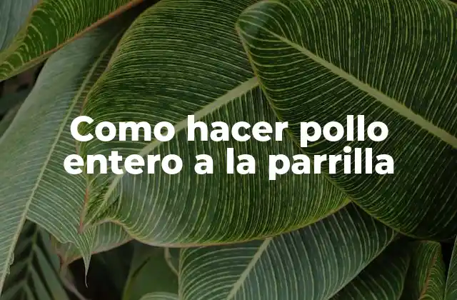 Como Hacer Pollo Entero a la Parrilla