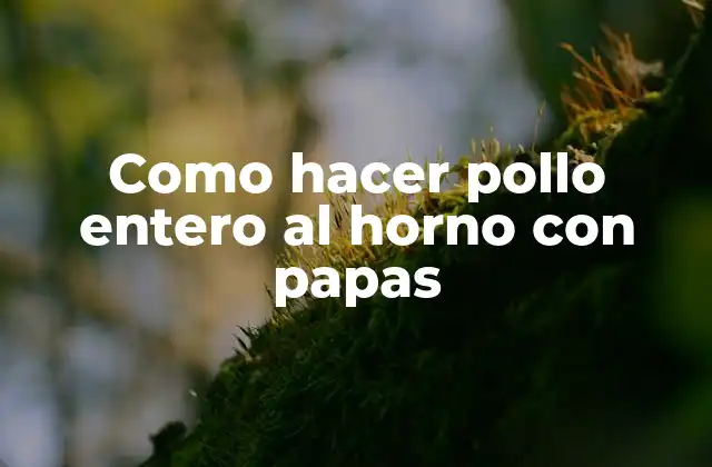 Como Hacer Pollo Entero Al Horno con Papas