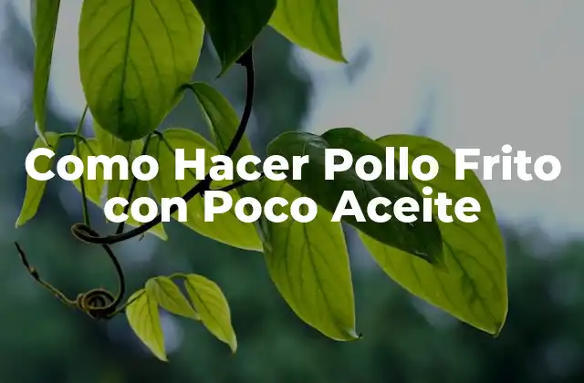 Como Hacer Pollo Frito con Poco Aceite 2 ¿Qué es el Pollo Frito con Poco Aceite?