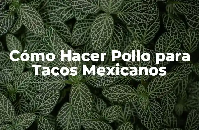 Cómo Hacer Pollo para Tacos Mexicanos