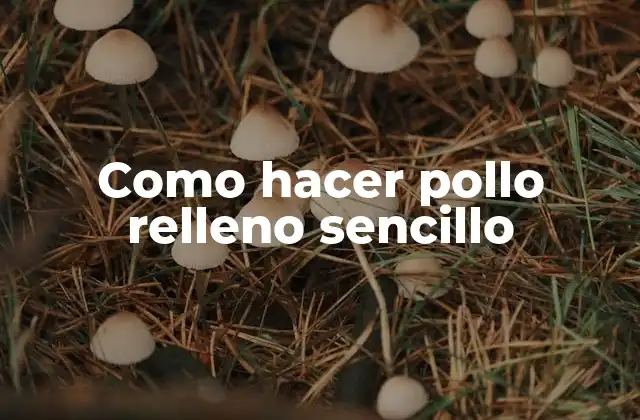 Como Hacer Pollo Relleno Sencillo