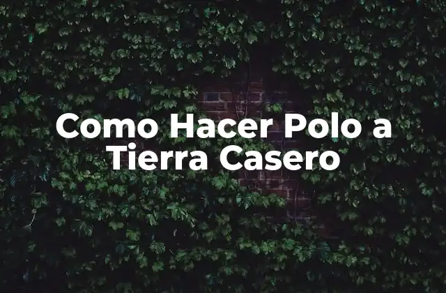Como Hacer Polo a Tierra Casero