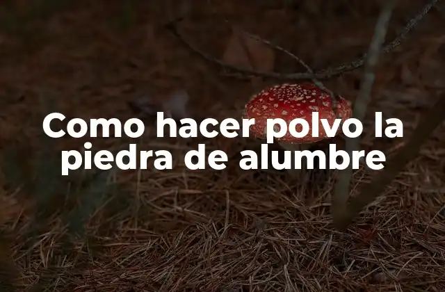 Como Hacer Polvo la Piedra de Alumbre