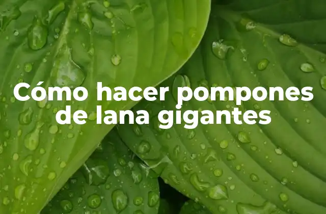 Cómo Hacer Pompones de Lana Gigantes