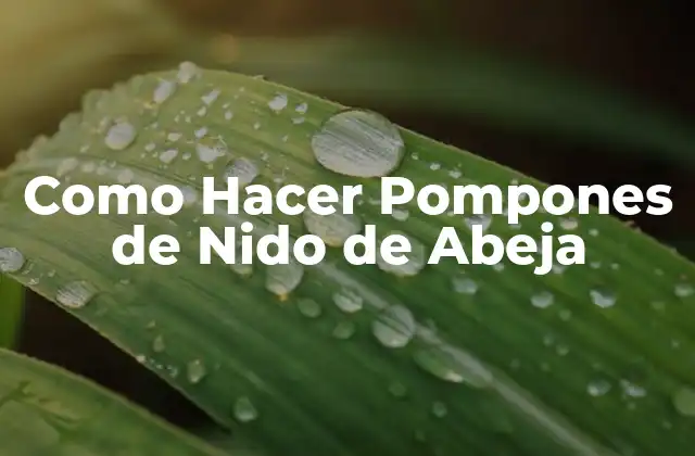 Como Hacer Pompones de Nido de Abeja