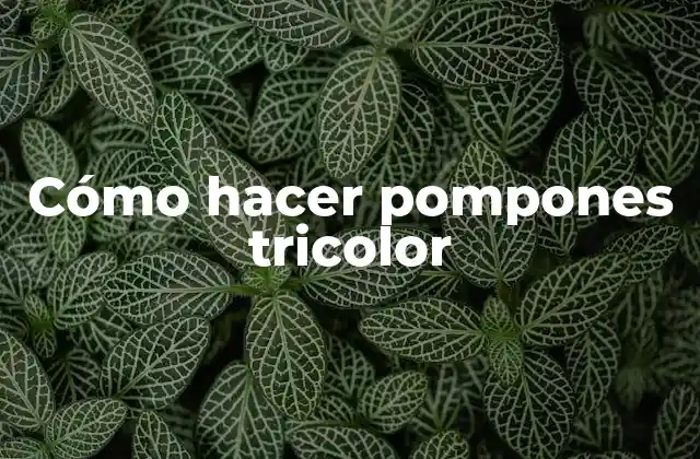 Cómo Hacer Pompones Tricolor
