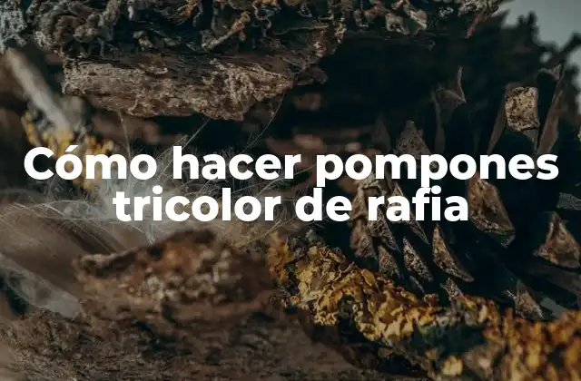 Cómo Hacer Pompones Tricolor de Rafia