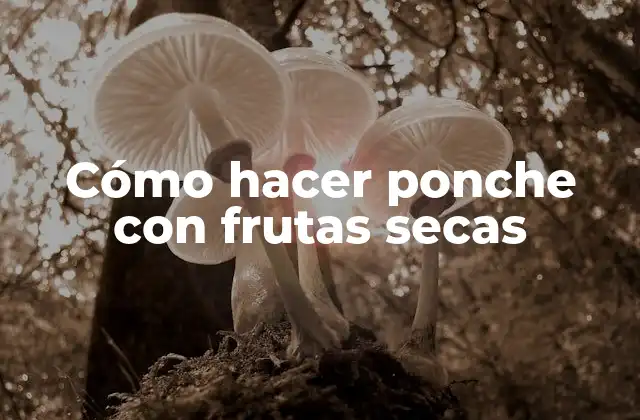 Cómo Hacer Ponche con Frutas Secas 2 ¿Qué es el ponche con frutas secas?