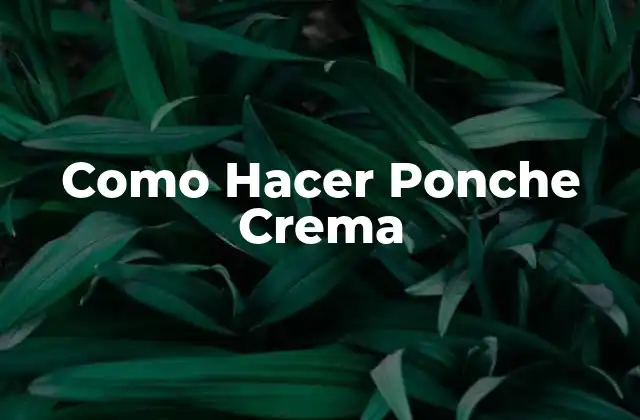 Como Hacer Ponche Crema 2 ¿Qué es el Ponche Crema?
