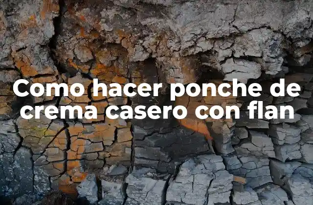 Como Hacer Ponche de Crema Casero con Flan