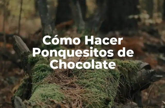 Cómo Hacer Ponquesitos de Chocolate 2 ¿Qué son los Ponquesitos de Chocolate y para qué Sirven?