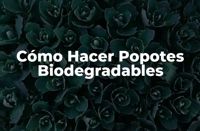 Cómo Hacer Popotes Biodegradables
