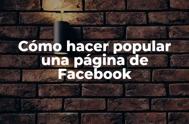 Cómo Hacer Popular una Página de Facebook
