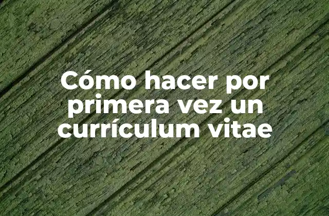 Cómo Hacer por Primera Vez un Currículum Vitae