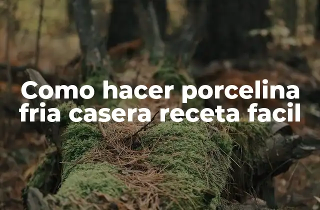 Como Hacer Porcelina Fria Casera Receta Facil