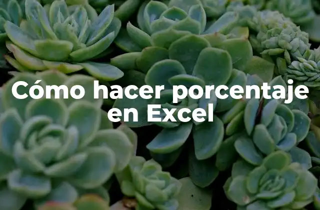 Cómo Hacer Porcentaje en Excel