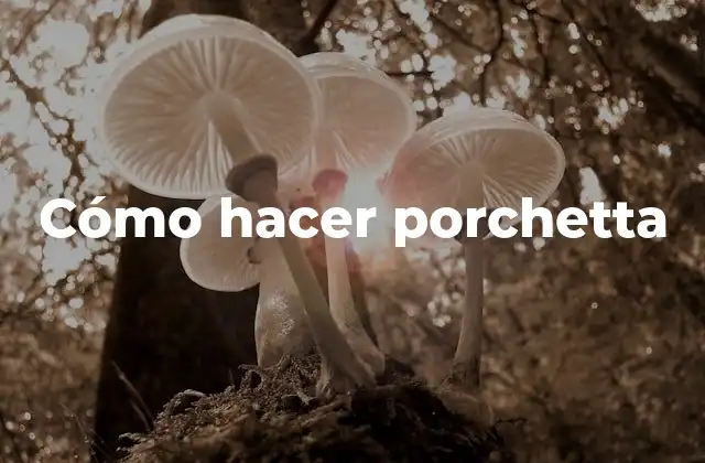 Cómo Hacer Porchetta 2 ¿Qué es la porchetta y para qué sirve?