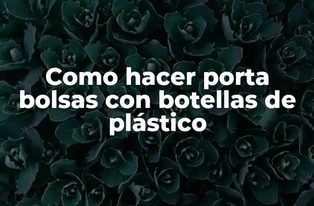 Como Hacer Porta Bolsas con Botellas de Plástico