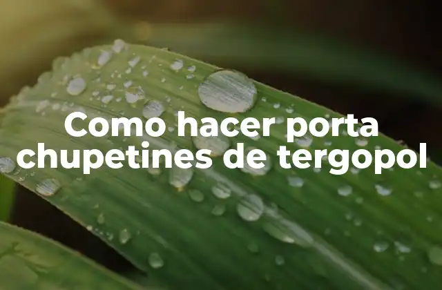 Como Hacer Porta Chupetines de Tergopol