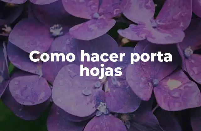 Como Hacer Porta Hojas 2 Como hacer porta hojas: una forma creativa de organizar tus documentos