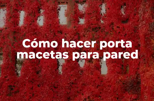 Cómo Hacer Porta Macetas para Pared