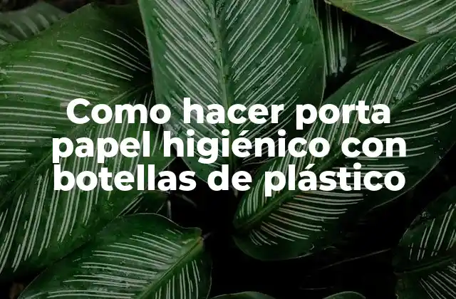 Como Hacer Porta Papel Higiénico con Botellas de Plástico