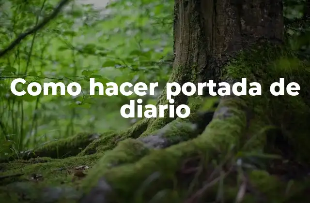 Como Hacer Portada de Diario